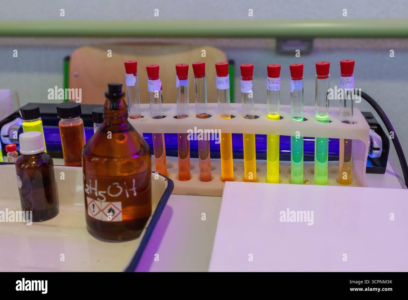 Esperimenti scientifici in laboratorio di chimica. Concetto di educazione alle scienze chimiche. Matracci da laboratorio con liquidi Foto Stock