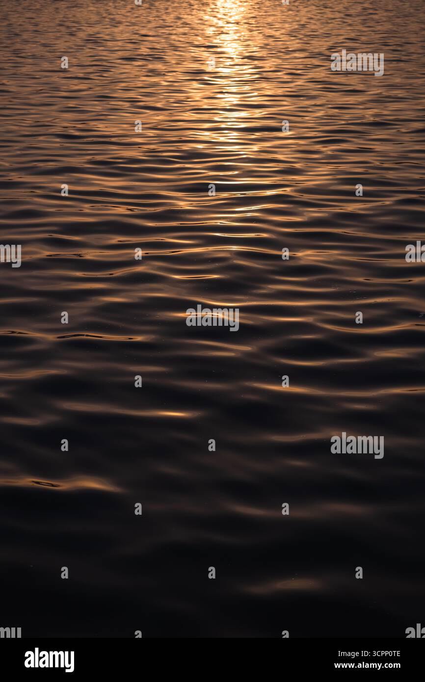il tramonto dorato si riflette nelle onde d'acqua, le onde d'acqua dorate cinematografiche riproducono l'immagine Foto Stock
