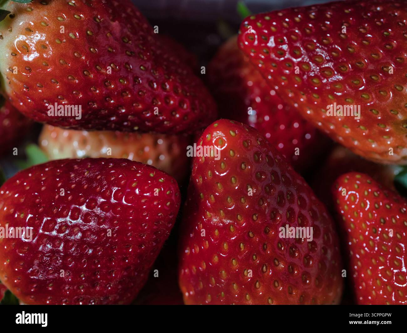 Dettagli macro scuri di fragole mature - primo piano estremo di un mucchio di fragole rosse mature con dettagli elevati sui semi e sulla pelle. PE Foto Stock