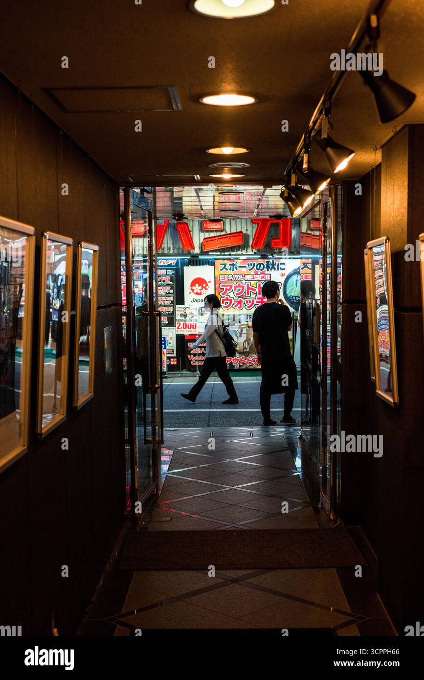 TOKYO, GIAPPONE - 27 OTTOBRE 2024 - immagine verticale da un corridoio buio per le strade con luci al neon che illuminano il centro commerciale di Tokyo, Foto Stock