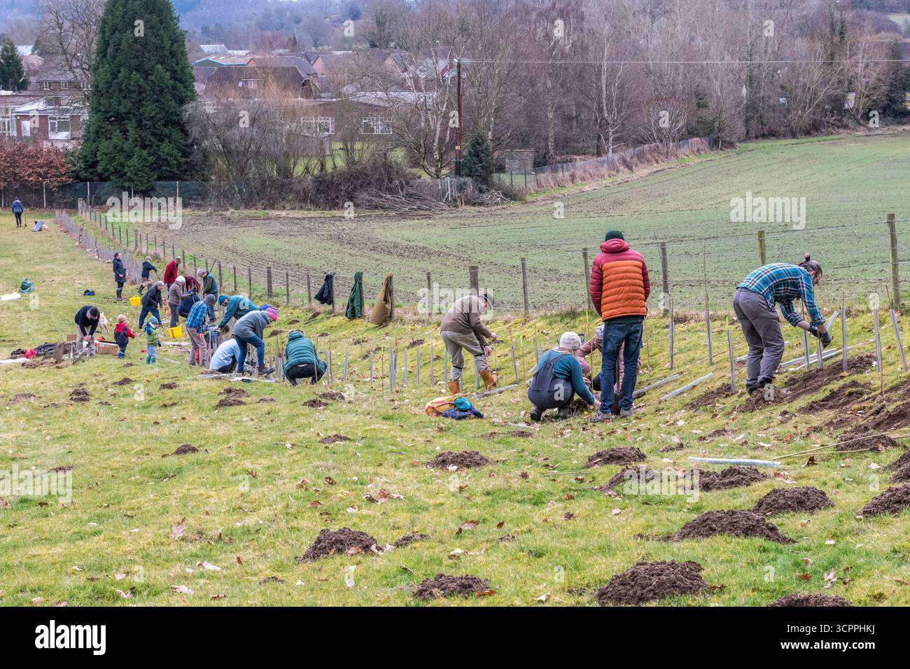 Volontari che piantano alberelli in una nuova riserva naturale di proprietà della comunità a Presteigne, Powys, Regno Unito Foto Stock