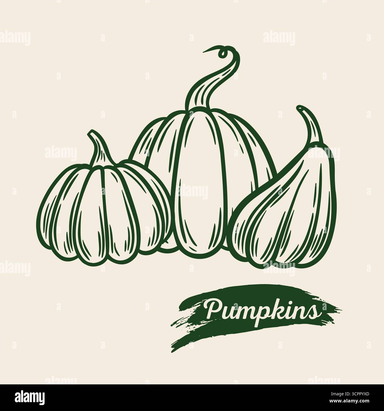 Immagine delle zucche con incisione Illustrazione Vettoriale