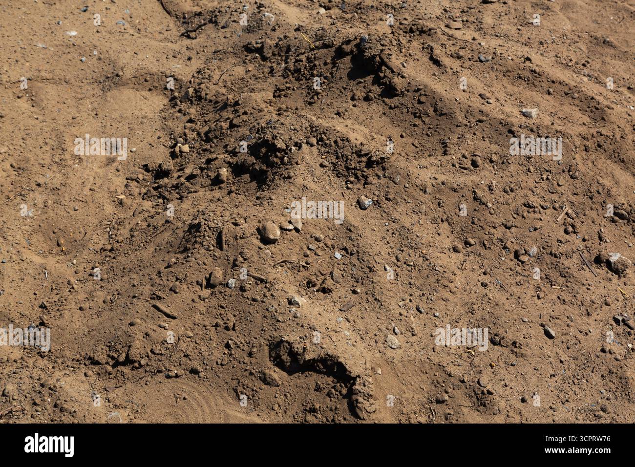 Vista dall'alto del tumulo di terreno marrone scavato con piccoli pezzi sparsi di rocce frantumate nel cantiere. Foto Stock