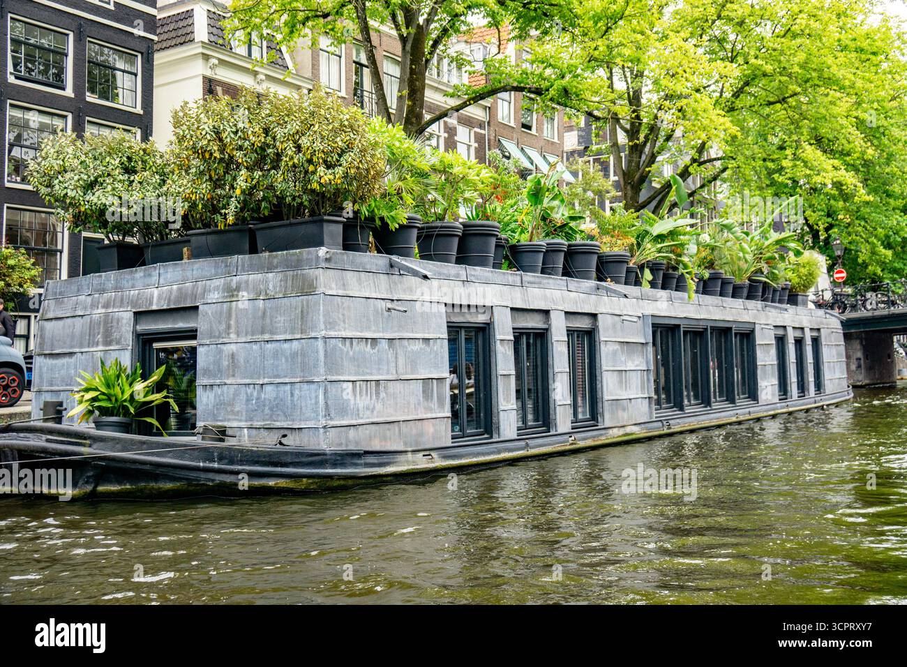 Interessante casa galleggiante unica su un canale di Amsterdam con molte piante in vaso sul tetto. Foto Stock