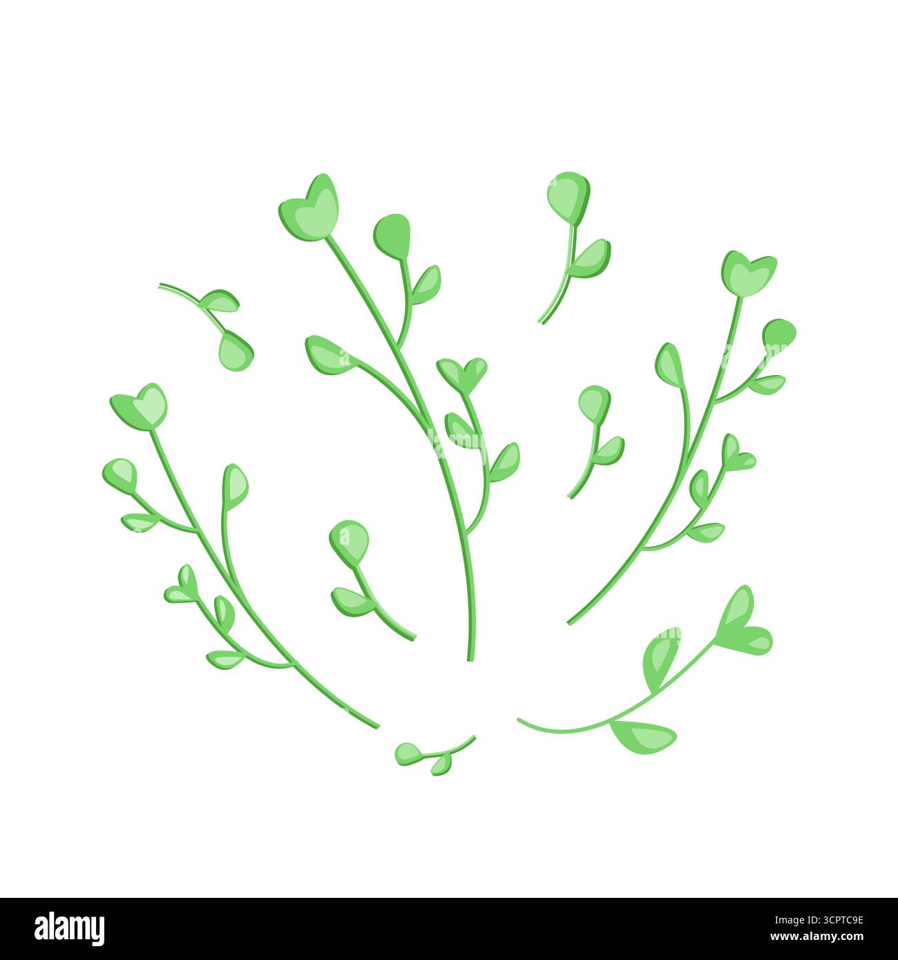 Foglie fresche di microverde. Illustrazione vettoriale piatta. Germogli rucola, ravanello, fieno greco, girasole isolati su sfondo bianco. Semi germoglianti Illustrazione Vettoriale