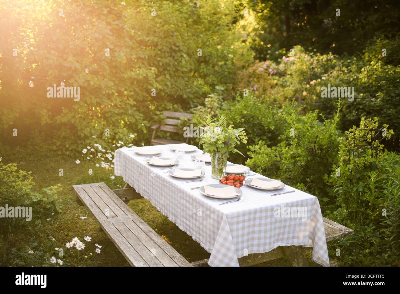 Piatti con tovagliolo tenuti sul tavolo per feste sociali nel cortile posteriore Foto Stock