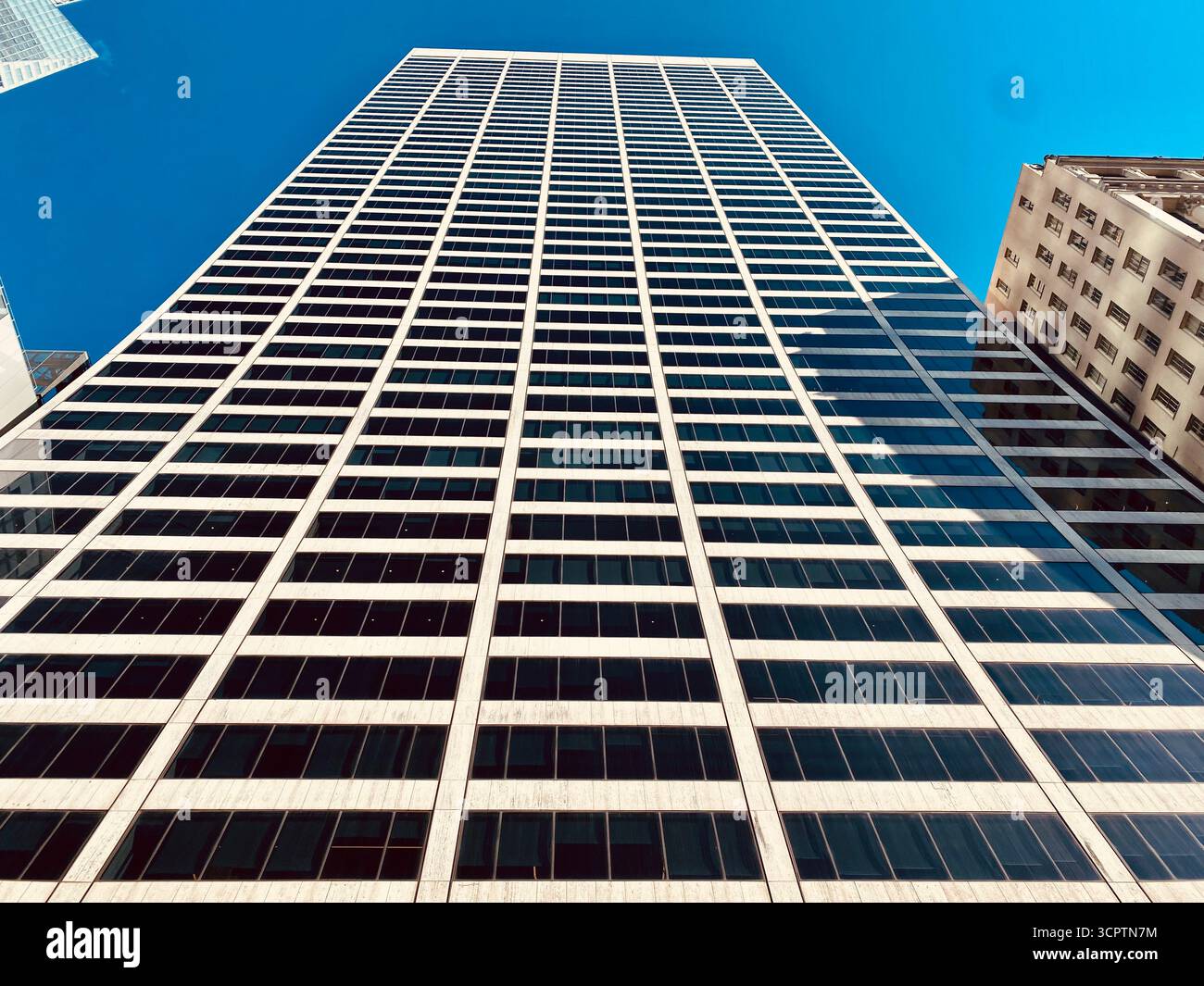 Grattacielo neogotico con facciata decorata vista da Low Angle sotto il cielo blu - Immagine stock catturata con smartphone