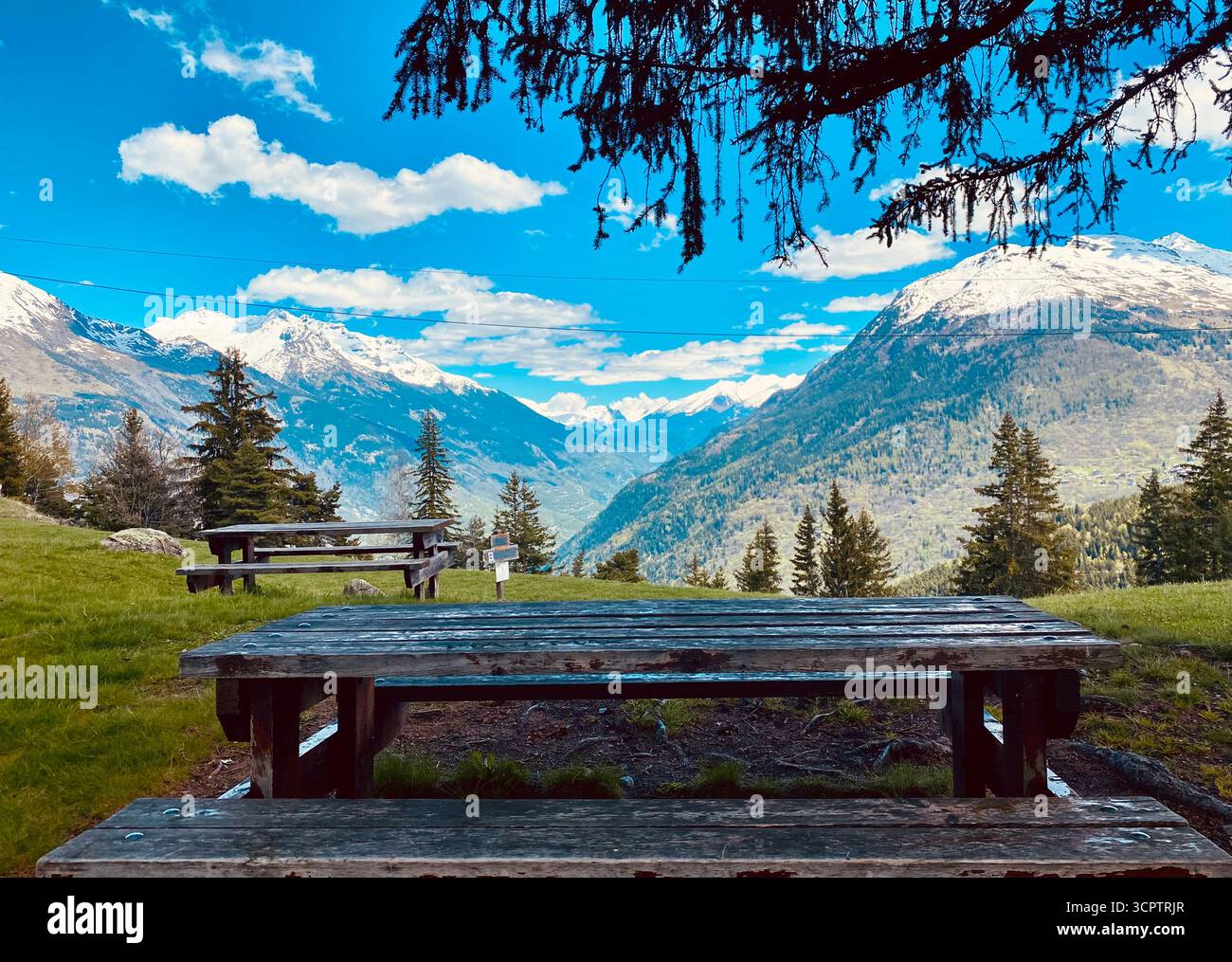 Area picnic di montagna con tavoli in legno, alberi Evergreen e cime innevate sotto il cielo blu - Immagine stock catturata con smartphone