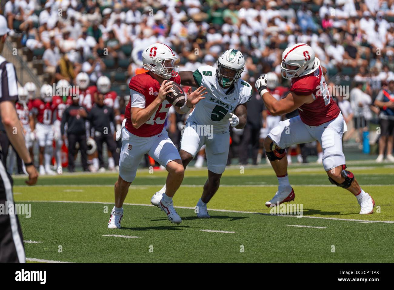 Redshirt, il quarterback senior #15 per Stanford, si prepara a lanciare durante una partita ad alta posta contro le Hawaii. Perfetto per gli sport editoriali e le immagini NCAA. Foto Stock