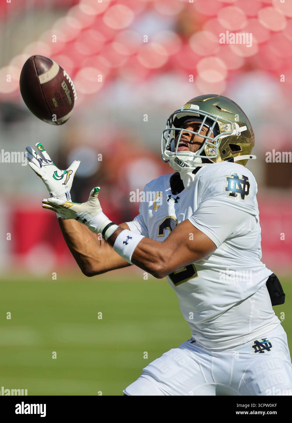 27 settembre 2025: Il ricevitore irlandese Will Pauling (2) si stabilisce sotto un pugno. Norte Dame sconfisse Arkansas 56-13 a Fayetteville, AR. Richey Miller/CSM(immagine di credito: © Richey Miller/Cal Sport Media) Foto Stock
