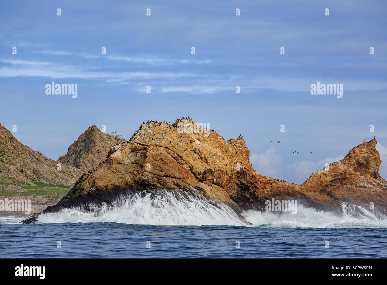 Le onde si schiantano contro un'isola rocciosa, coperta di uccelli. Foto Stock