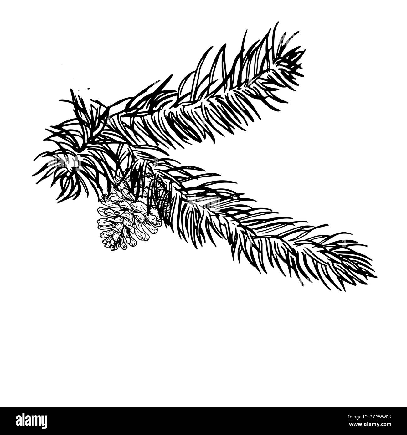 Soffice ramoscello di pino, abete e coni, schizzo. Illustrazione vettoriale. Una decorazione tradizionale natalizia, isolata su uno sfondo bianco. Per postcar Illustrazione Vettoriale