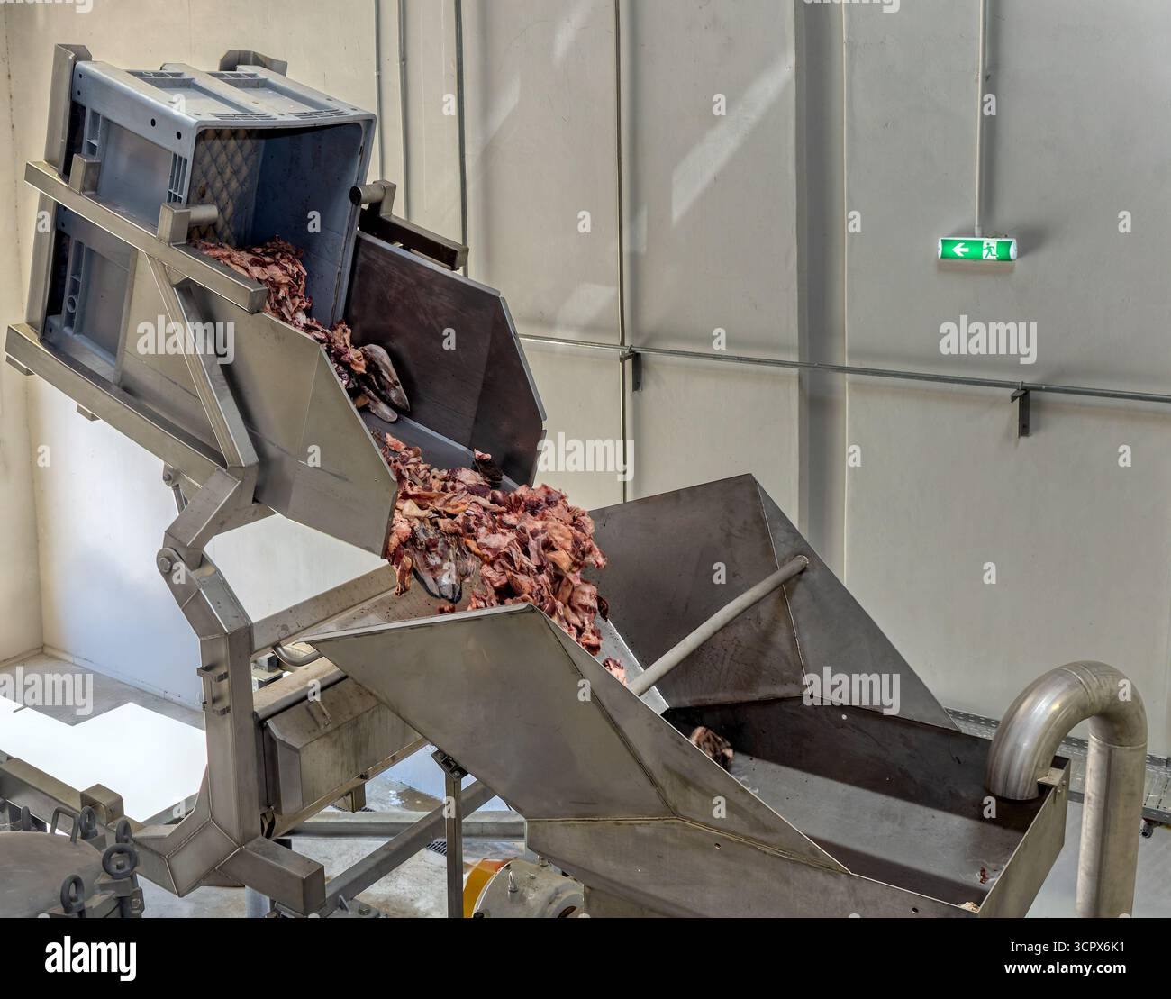 macello dell'impianto di lavorazione della carne, sollevamento degli ascensori, caduta della carne di manzo in un macinacaffè gigante in fabbrica Foto Stock