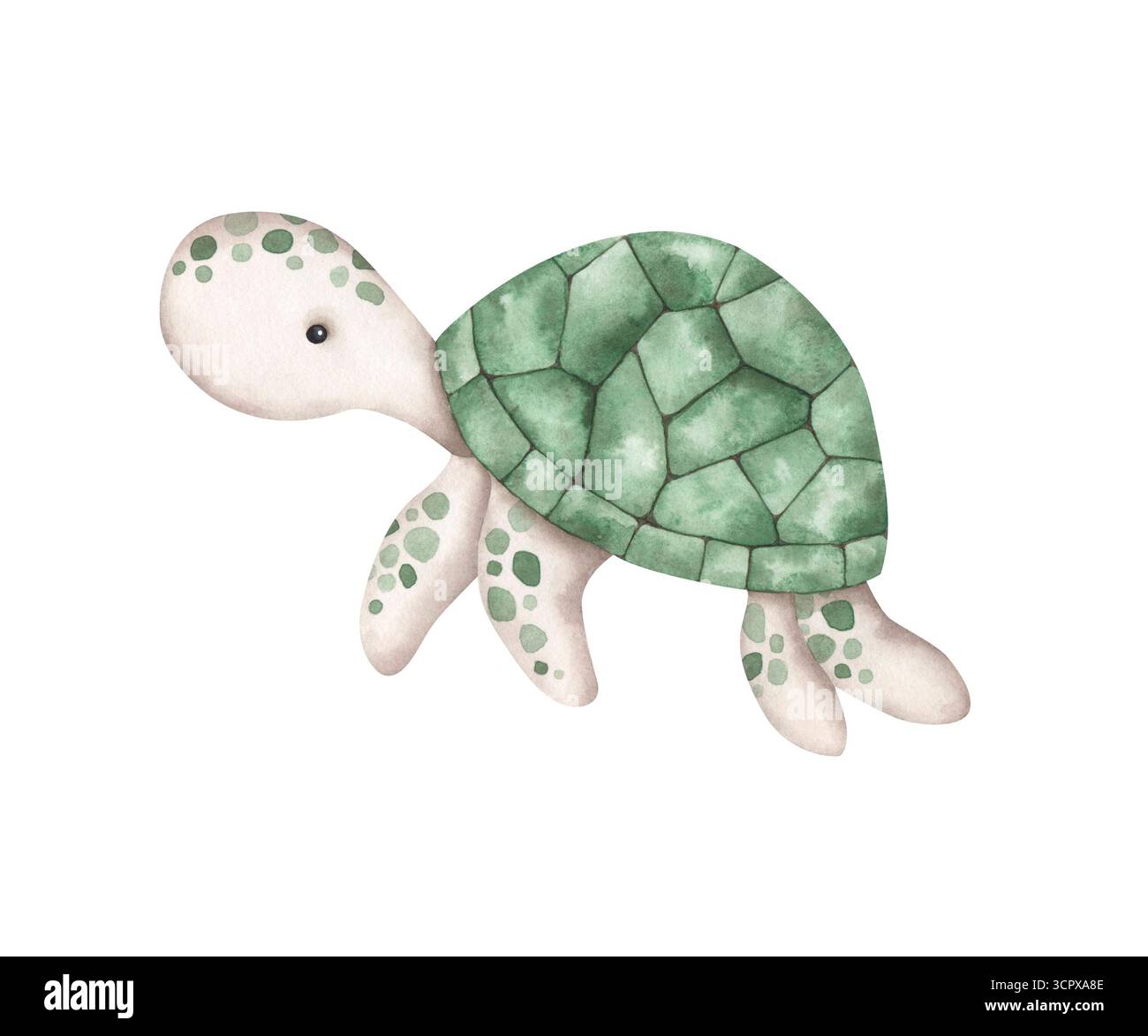 Sotto il mare. Illustrazione ad acquerello disegnata a mano con tartaruga. Animali e piante del mondo sottomarino. Celebrazioni a tema marino. Carini elemen dei cartoni animati Foto Stock