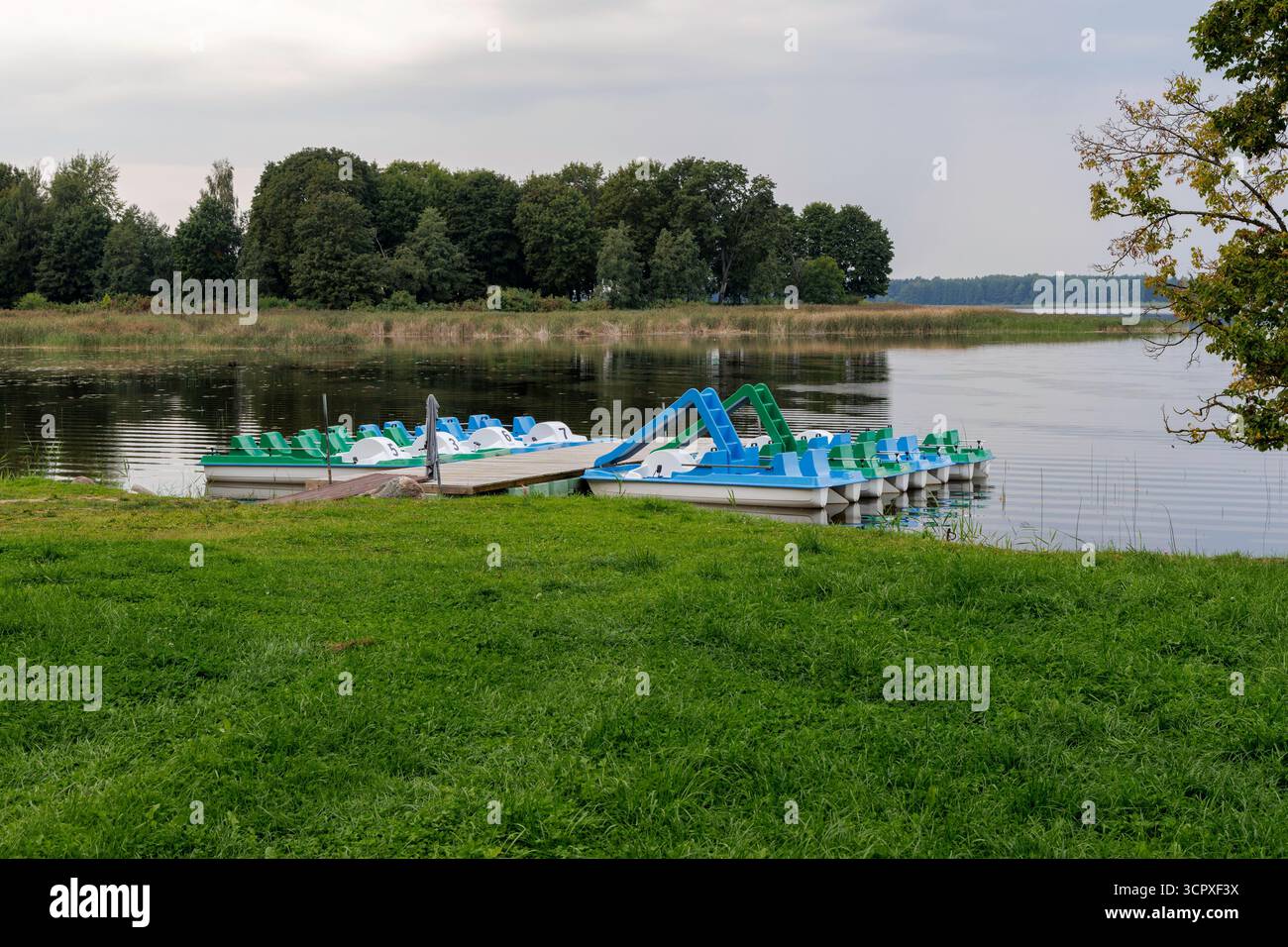 Una fila di pedalò blu e verdi è ormeggiata ordinatamente in un piccolo molo, pronto per il noleggio sul tranquillo lago. Foto Stock