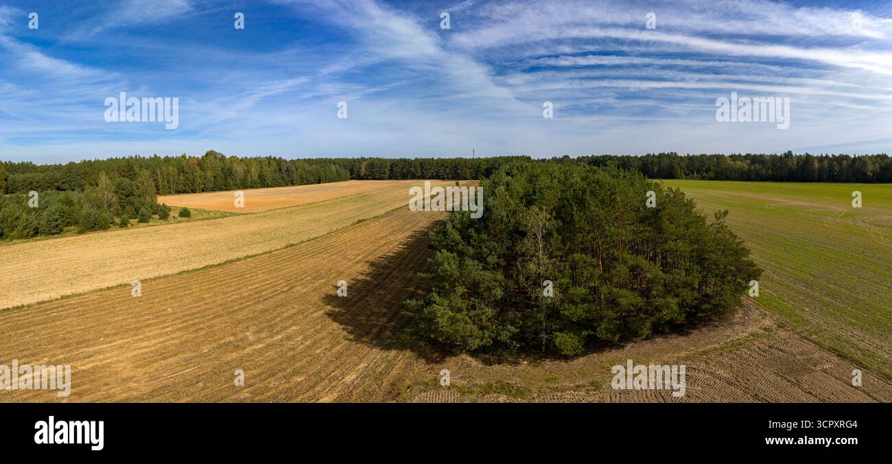 Ampi campi delimitati da fitte foreste sotto un cielo limpido con nuvole, con un piccolo gruppo di alberi in primo piano. Foto Stock