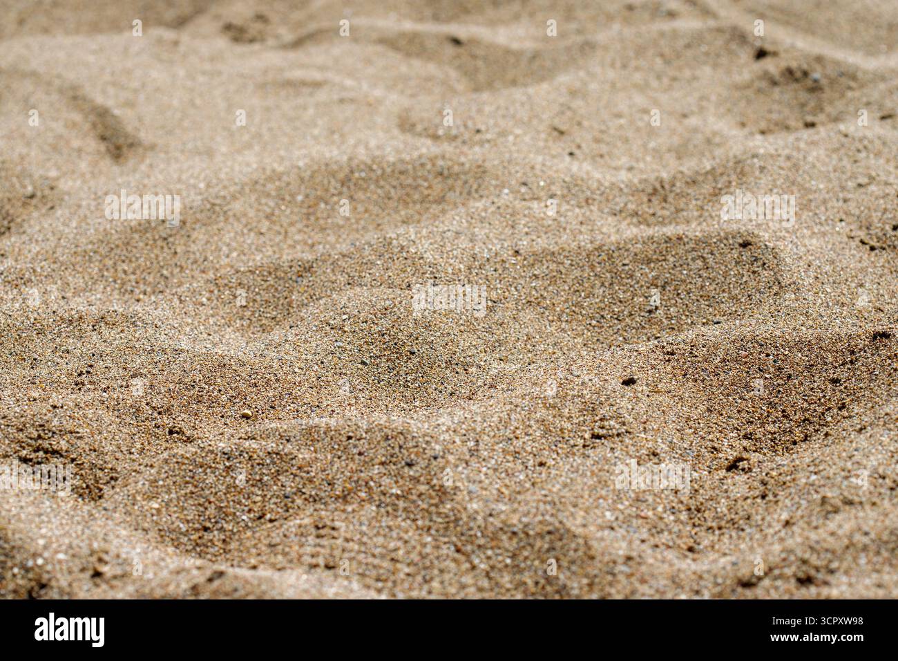 Un primo piano, poco profondo, di sabbia ondulata. I grani di sabbia variano nel colore, con sfumature di abbronzatura, beige e marrone chiaro. Foto Stock