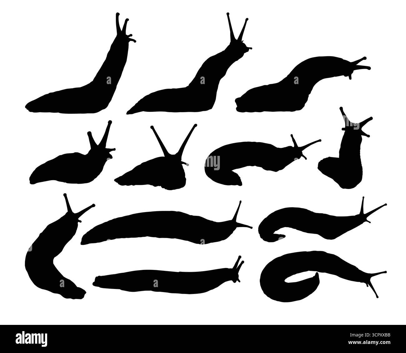 Set di sagome di grandi alette. Illustrazione Vettoriale