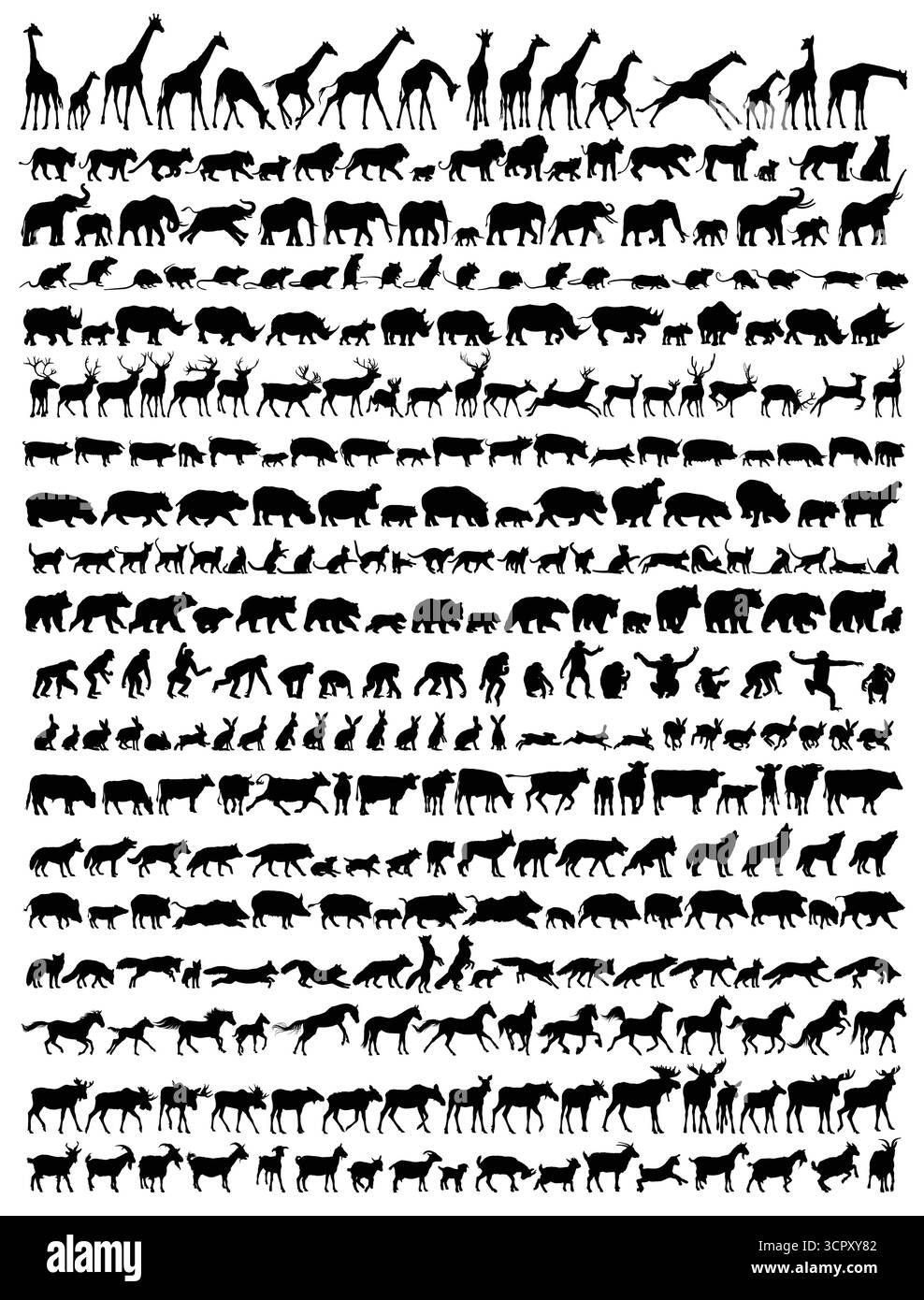 Le grandi silhouette dei mammiferi. Illustrazione Vettoriale