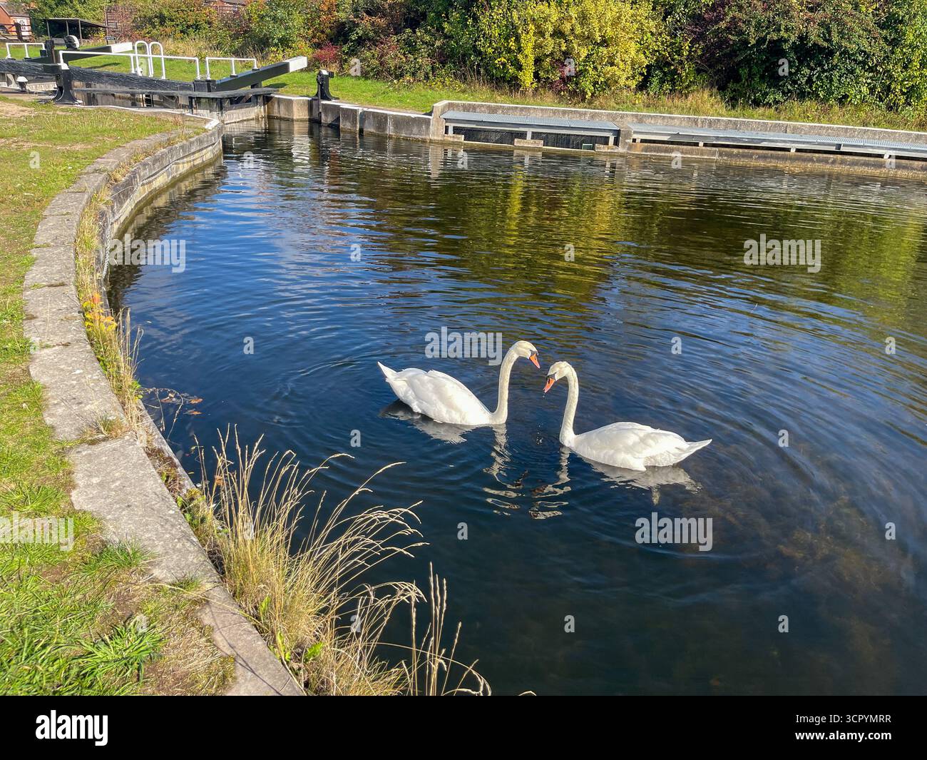 Ashby Canal Lock Gate e Moira Furnace, Moira ai confini del Derbyshire e del Leicestershire.England.UK - Immagine stock catturata con smartphone