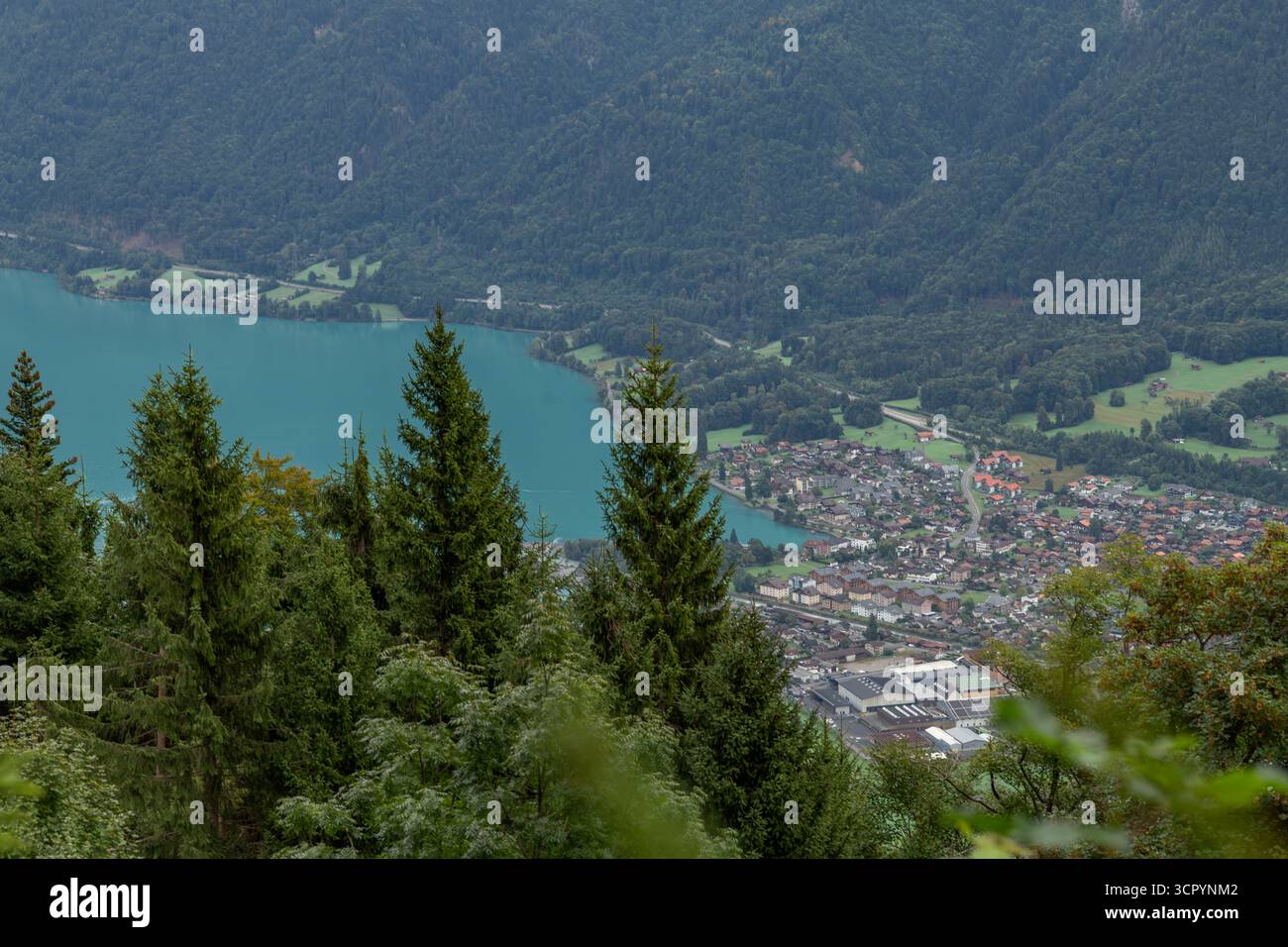 Vista estiva nuvolosa e soleggiata sul lago Brienzersee a Harder Kulm, Svizzera 09 08 2025 Foto Stock