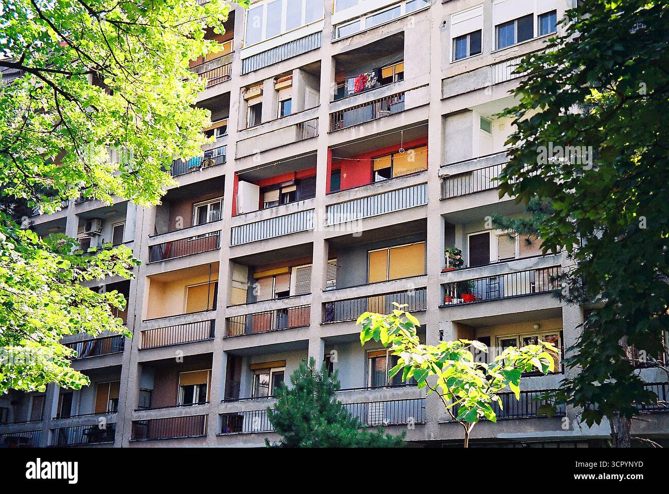 Archivio analogico documentario Photo Dairy Foto Stock