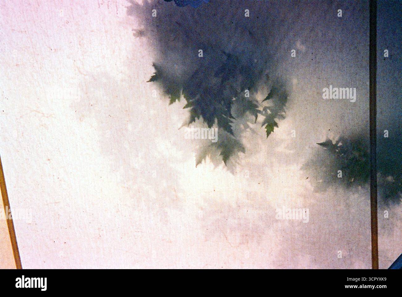 Archivio analogico documentario Photo Dairy Foto Stock