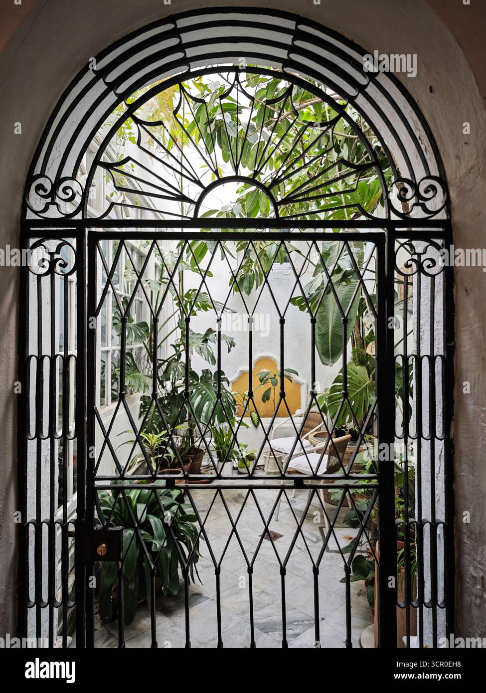 Il cancello in ferro battuto è caratterizzato da un design che ti invita in un lussureggiante cortile piastrellato pieno di piante in vaso e affascinanti pareti dipinte di bianco. Foto Stock