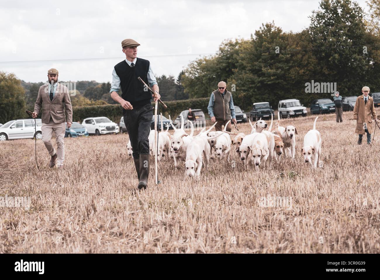 Houndsman con i cani al match di aratura nel West Sussex sulle South Downs in Inghilterra, Regno Unito Foto Stock