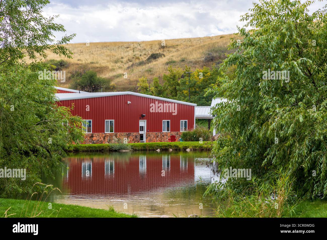 Modern Dairy Farm in Colorado. Paesaggio rurale Foto Stock