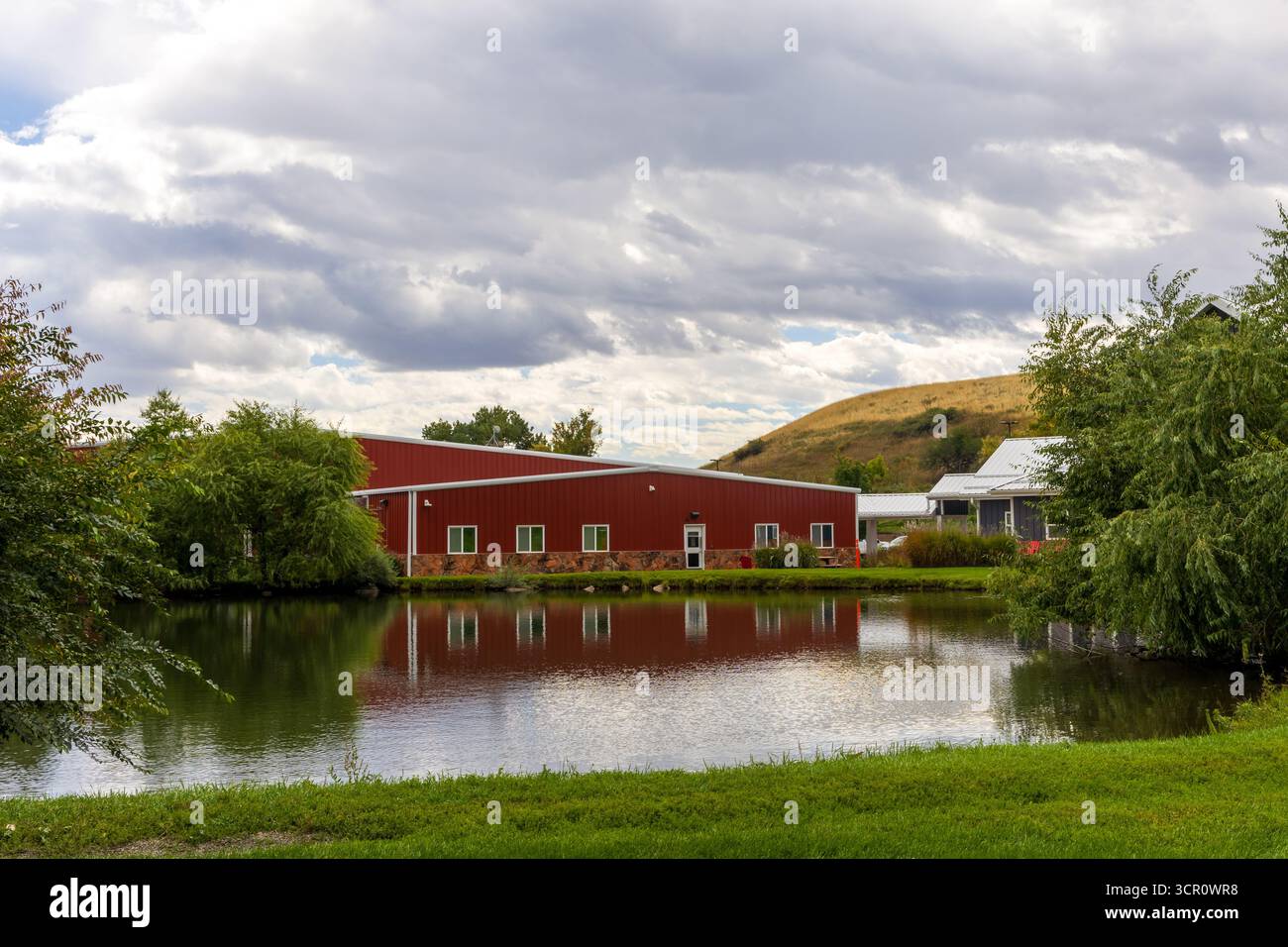 Modern Dairy Farm in Colorado. Paesaggio rurale Foto Stock