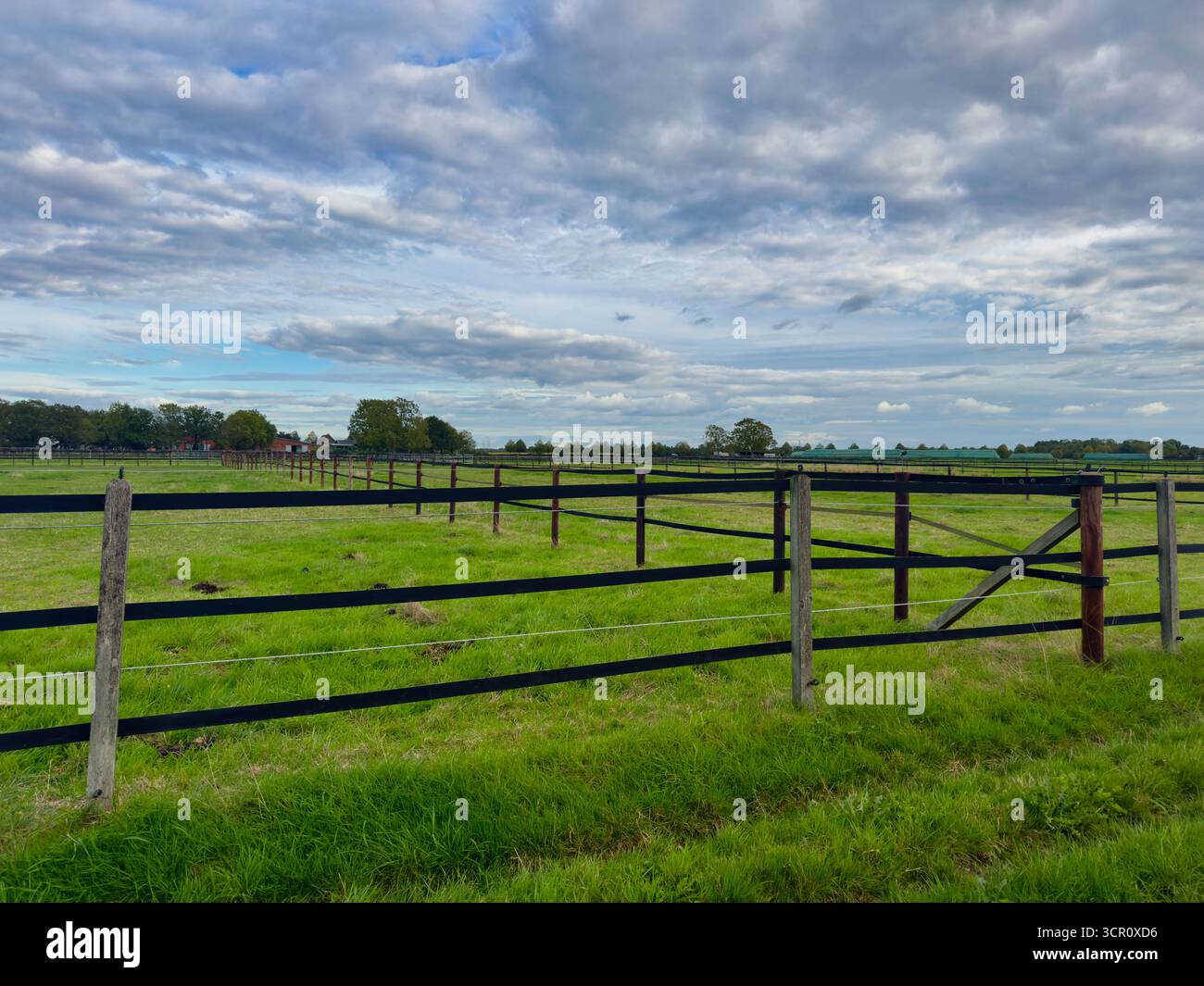 Recinzione in legno su terreni agricoli verdi erbosi con cielo azzurro nuvoloso in campagna Foto Stock