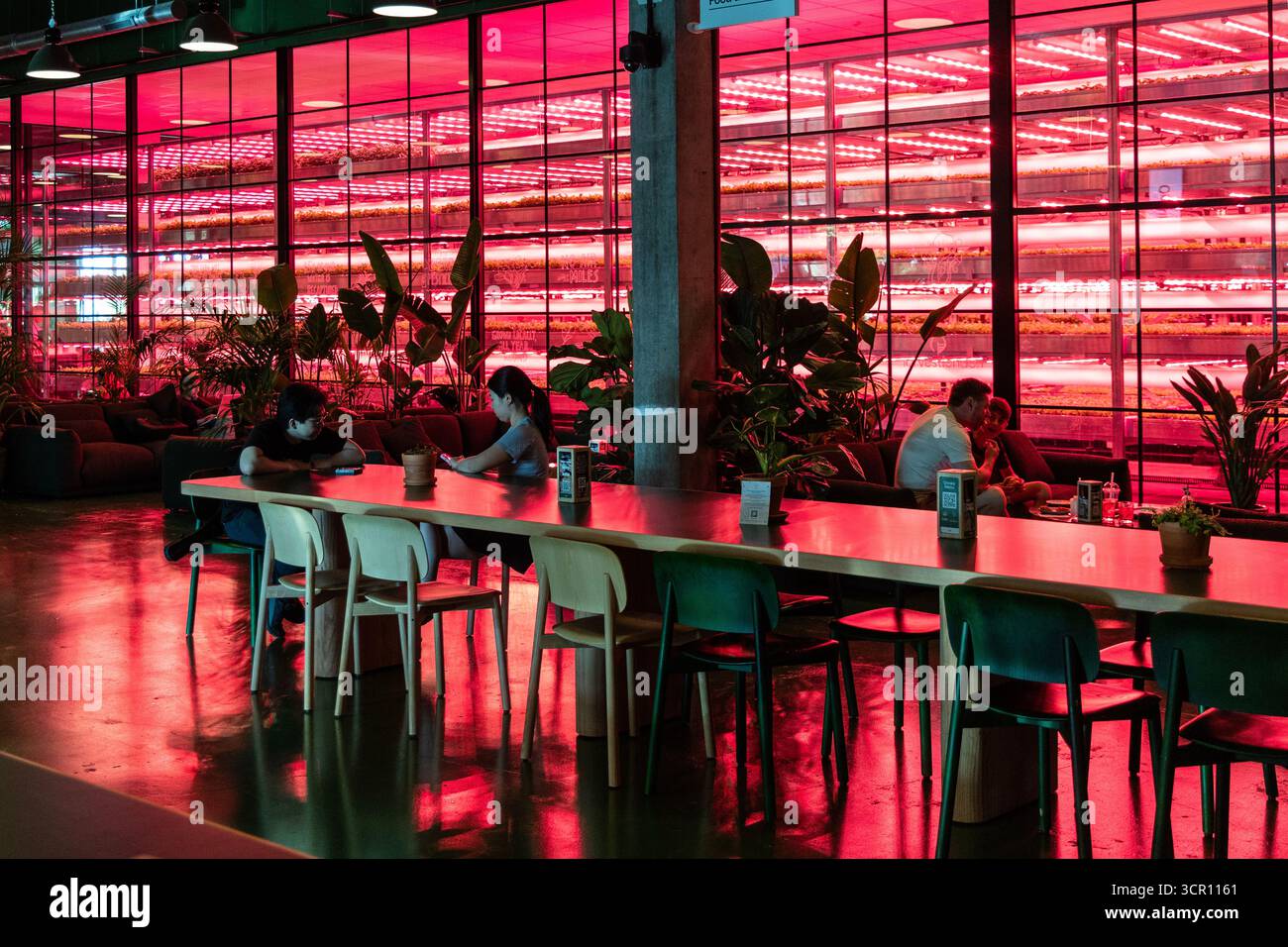 Plant Room - azienda agricola verticale al coperto presso Corner Food Hall, Canada Water, Londra, Inghilterra Foto Stock