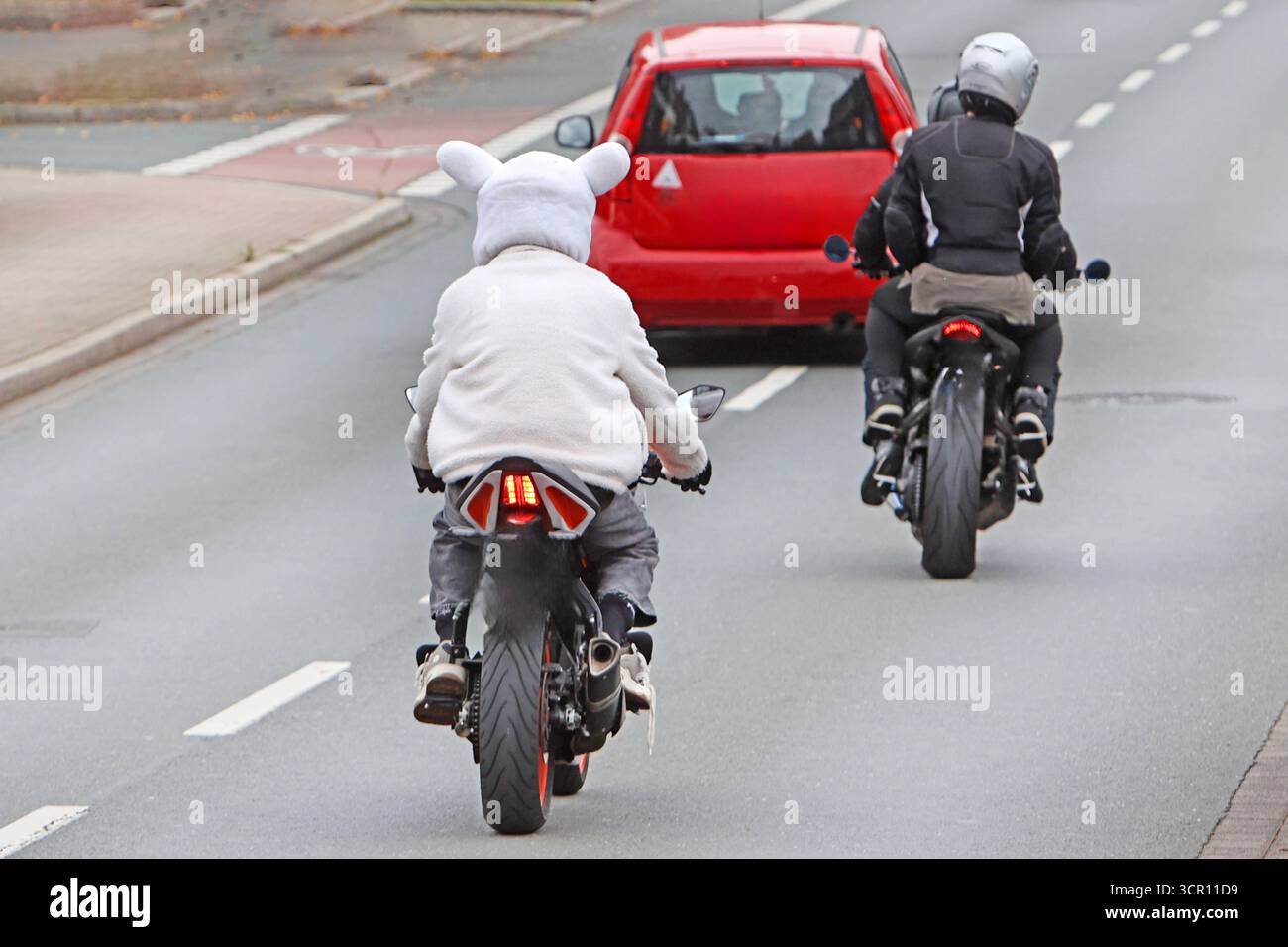 Motorradfahrer auf Tour Ein als Bär kostümierter Motorradfahrer ist auf einer Straße unterwegs. *** Motociclista in tour Un motociclista vestito da orso è sulla strada Foto Stock