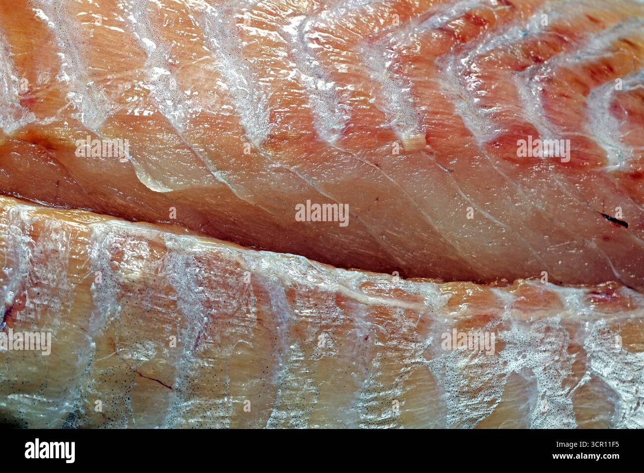 Fische als Lebensmittel Das Filet von einem Köhler, der als Handelsbezeichnung Seelachs genannt wird, liegt fertig für die Zubereitung in einer Küche. *** Pesce come cibo il filetto di un pesce di mare, conosciuto commercialmente come saithe, è pronto per la preparazione in una cucina Foto Stock