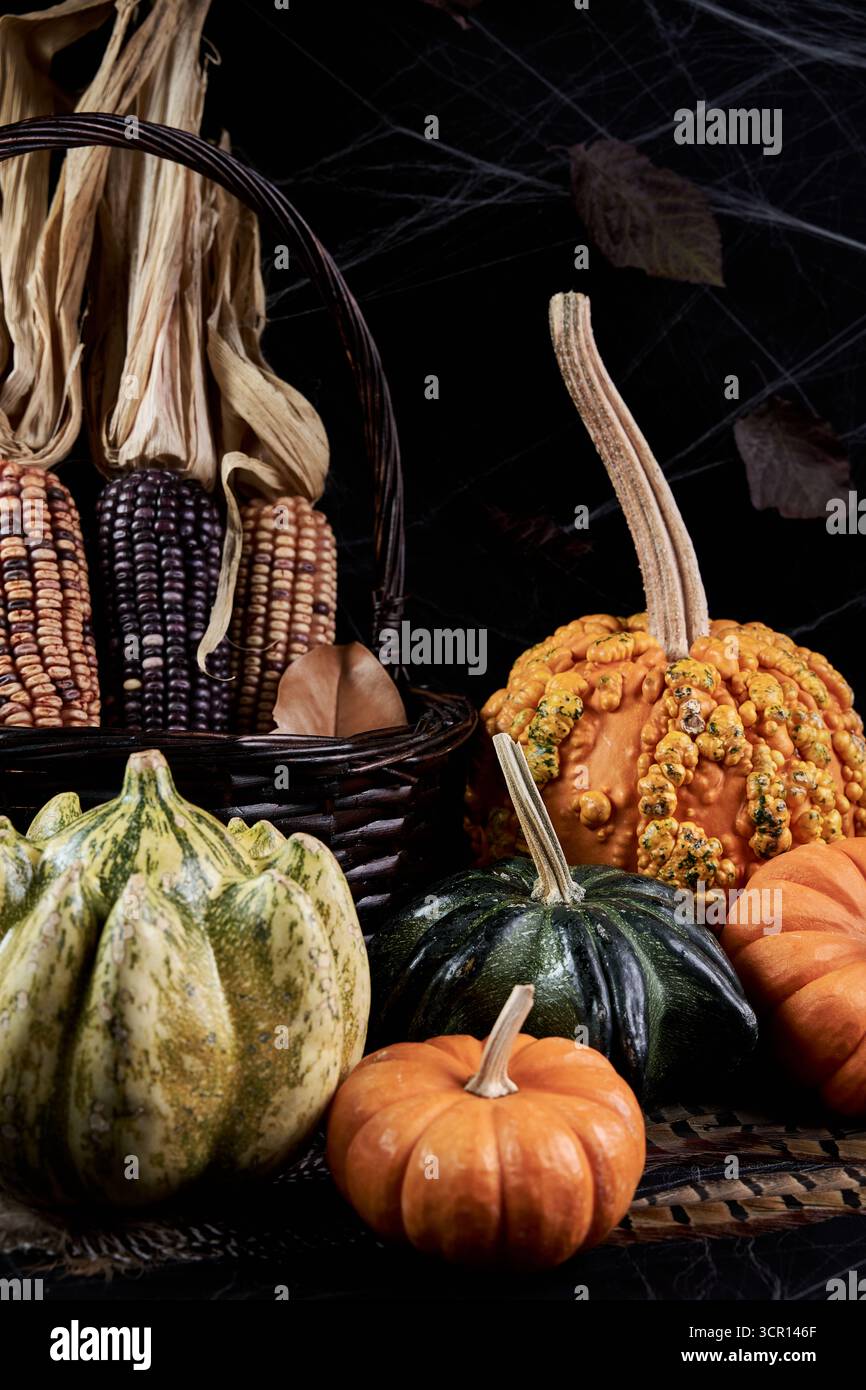 Natura morta autunnale di basso livello con una zucca verrusca, mini zucche e mais ornamentale in un cesto di vimini, foglie secche e ragnatele su sfondo scuro Foto Stock
