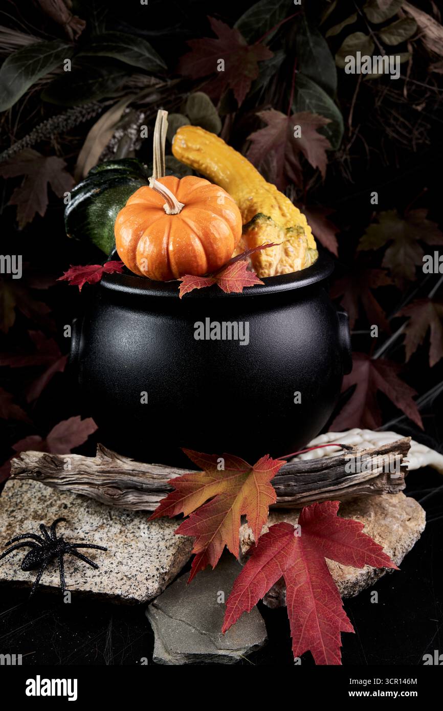 Natura morta autunnale con calderone nero, mini zucca e buongustai, foglie d'acero rosso, paillettes e un piccolo ragno su sfondo scuro Foto Stock