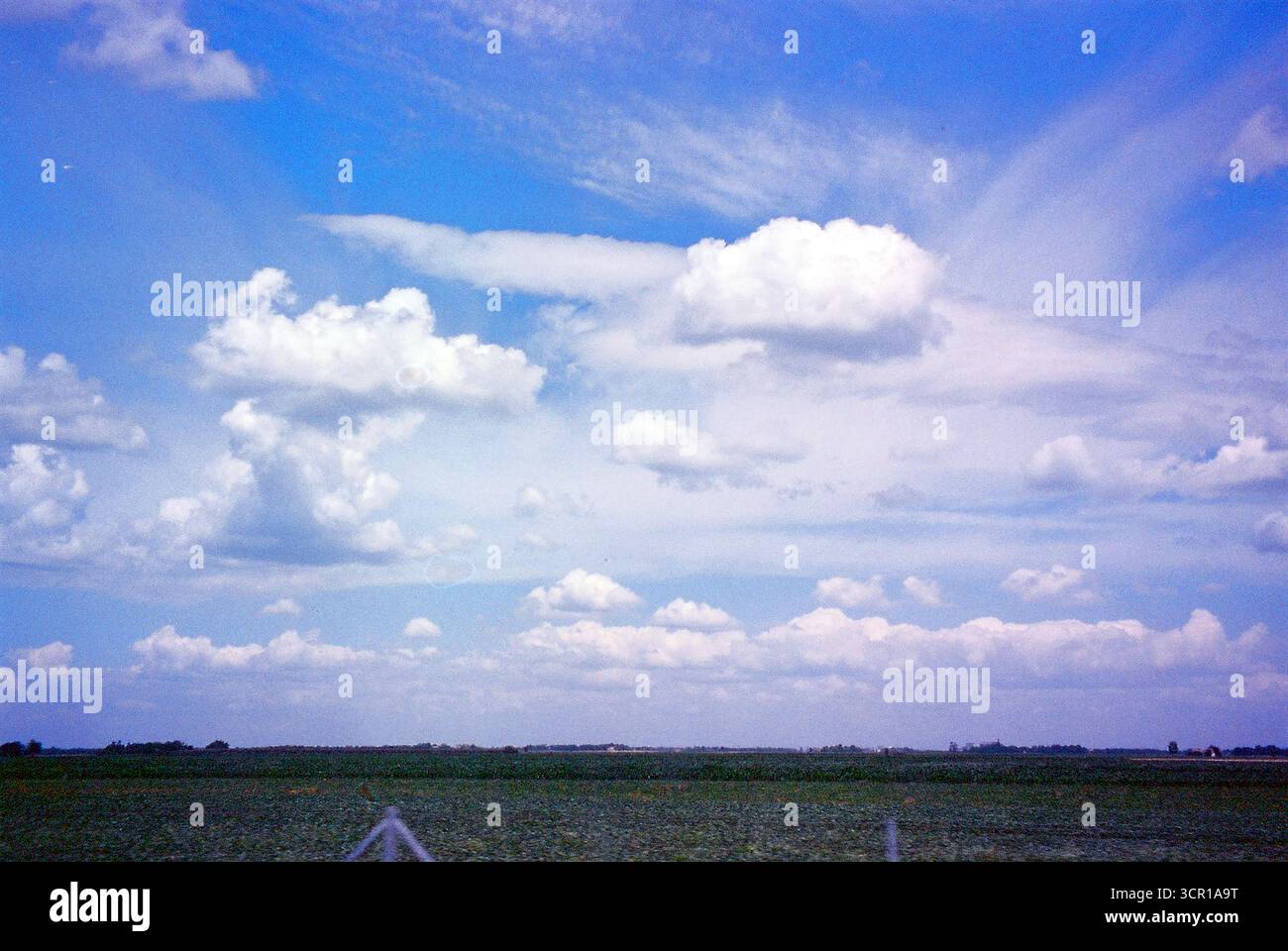 Archivio analogico documentario Photo Dairy Foto Stock