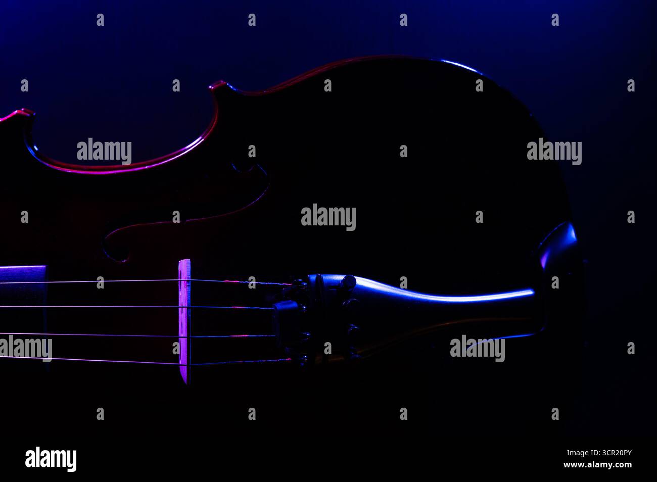 Violino su sfondo scuro, illuminato lateralmente con luci viola e blu Foto Stock