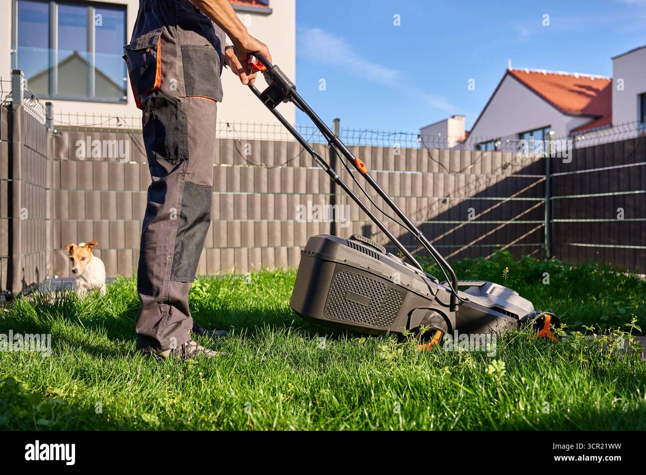 Uomo che taglia il prato verde con un rasaerba elettrico nel cortile posteriore, mentre un cane piccolo siede nelle vicinanze Foto Stock