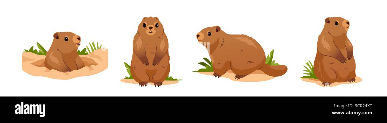 Set di simpatici porci. Marmotte che sbirciano fuori dal buco della terra e roditori seduti nell'erba. Animali selvatici. Design celebrazione Groundhog Day. Cartone animato Illustrazione Vettoriale