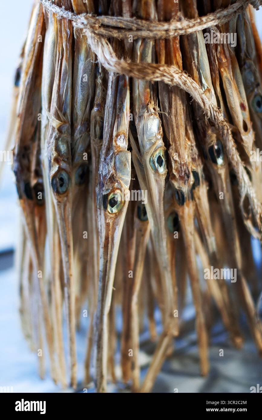 Un mucchio di pesce essiccato in un mercato, un prodotto popolare e un'industria nell'isola di Bantayan, Cebu, Filippine Foto Stock