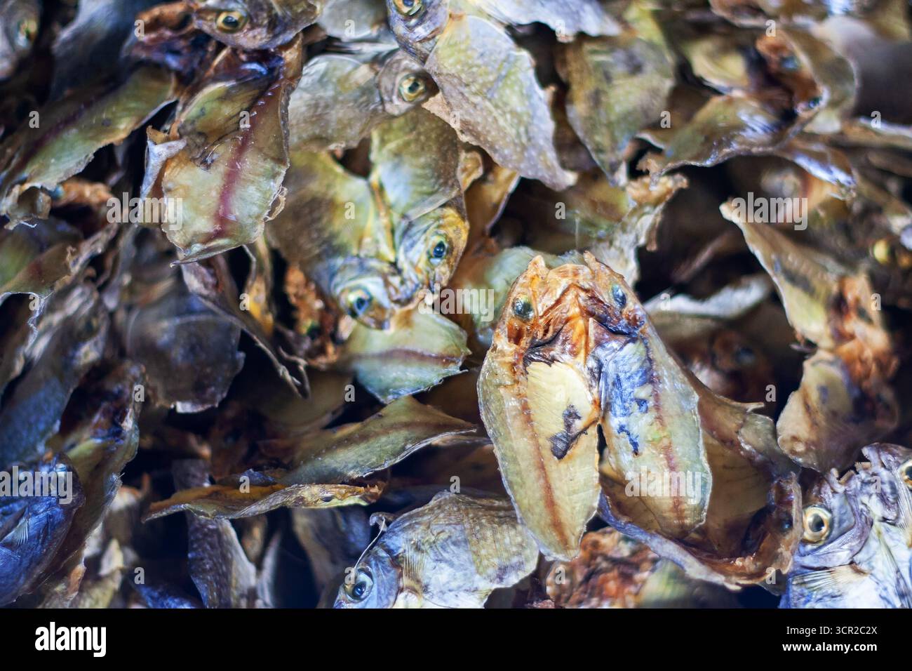 Un mucchio di pesce essiccato in un mercato, un prodotto popolare e un'industria nell'isola di Bantayan, Cebu, Filippine Foto Stock