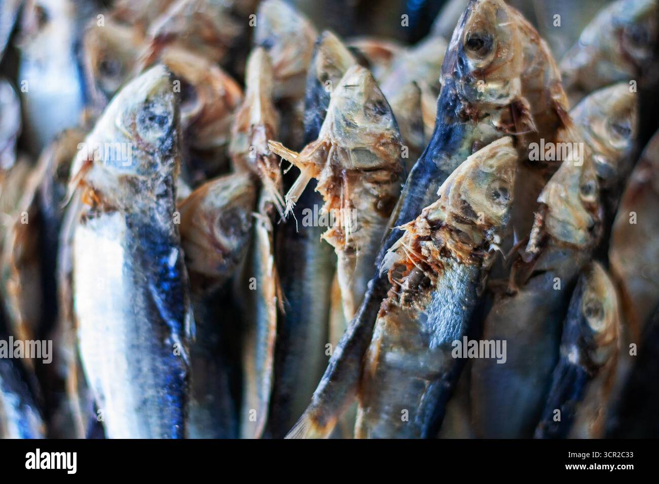 Un mucchio di pesce essiccato in un mercato, un prodotto popolare e un'industria nell'isola di Bantayan, Cebu, Filippine Foto Stock