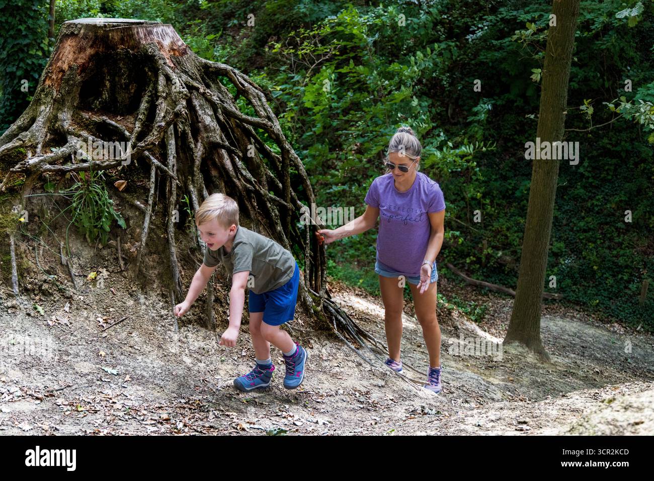 I bambini giocano su scivoli e arrampicate in un parco giochi naturale circondato da alberi. Foto Stock