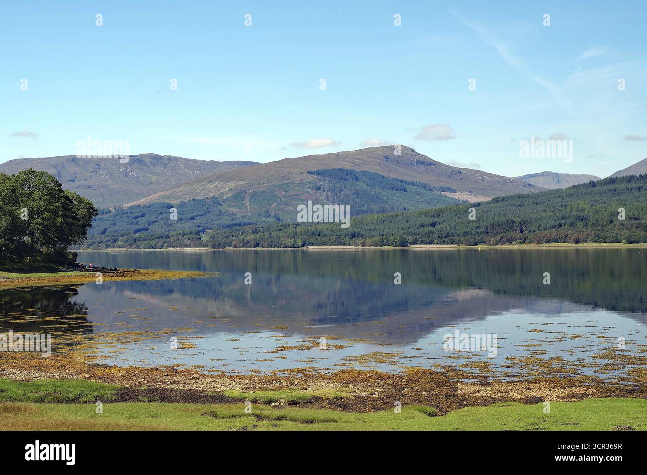 Lago calmo con riflessi delle montagne circostanti e cielo blu, Scozia, Gran Bretagna, Loch EIL, Scozia, gran Bretagna Foto Stock