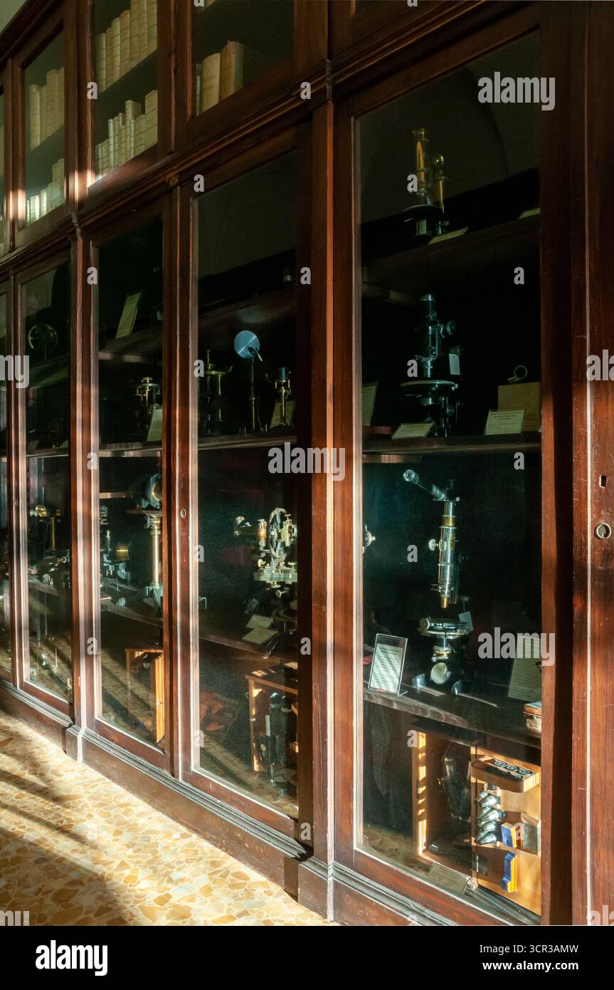 Vetrina contenente strumenti scientifici presso il Museo Mineralogico reale di Napoli (Real Museo Mineralogico) Foto Stock