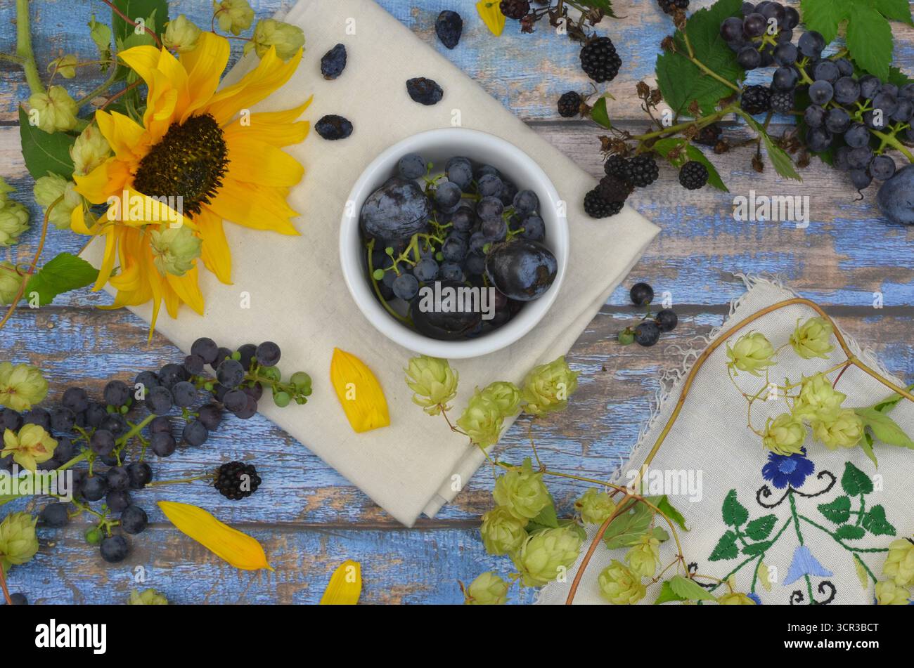Raccolta stagionale: Frutti blu e girasole su tavole blu. Tovaglia kashubiana, uva e rami di luppolo. Foto Stock
