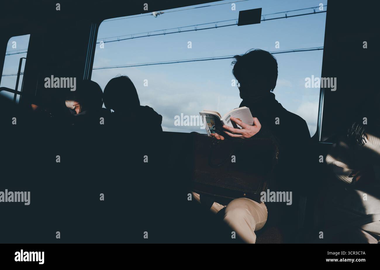 Pendolari mascherati, uno tiene un libro aperto sulle sue gambe mentre la luce soffusa del sole attraversa il vagone ferroviario Foto Stock