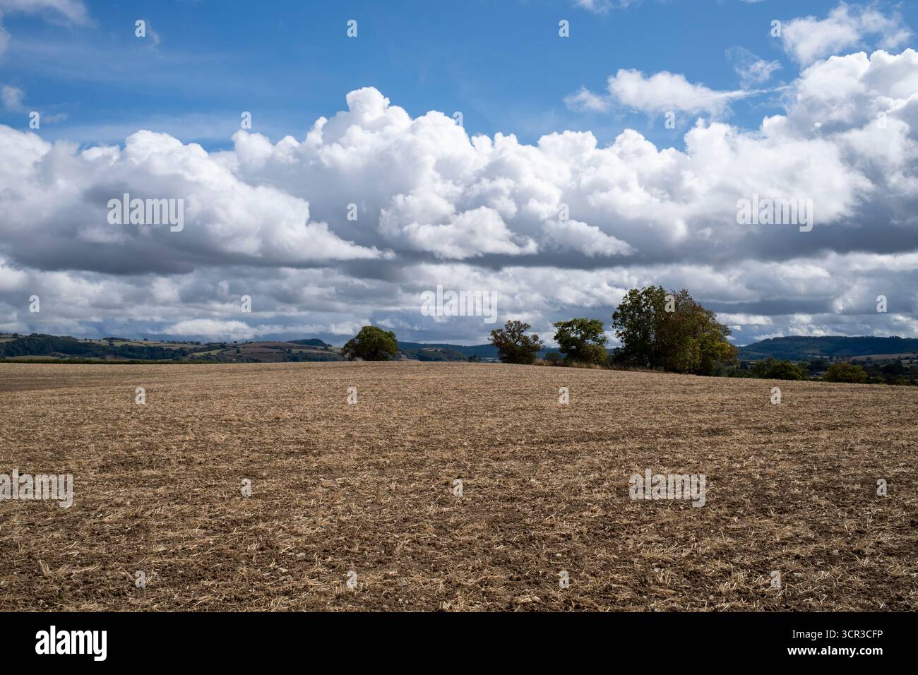 Paesaggio agricolo dei campi dopo la raccolta del frumento il 3 settembre 2025 a Buckton, Regno Unito. L'Herefordshire è una contea nota per la sua terra agricola, dove le colture fioriscono. Foto Stock